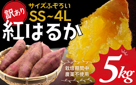 ≪訳あり≫ 栽培期間中農薬使用 サツマイモ 5kg 紅はるか  さつまいも サツマイモ ワケアリ わけありさつまいも詰め合わせ 芋 いも 三重県 多気町 GE‐01