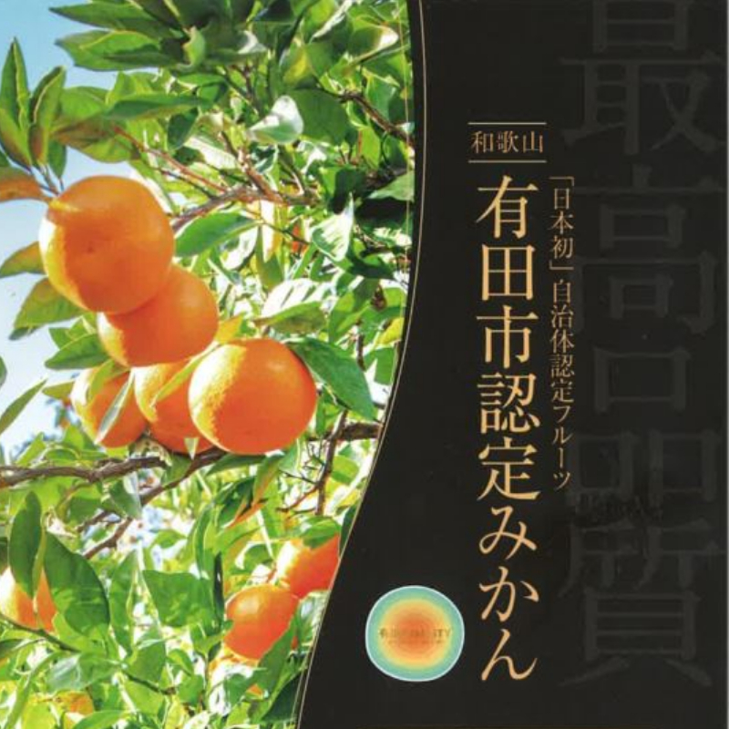 1.有田市認定みかん「未来への虹」至宝(5kg)【日本初自治体認定フルーツ】(A1-2) 