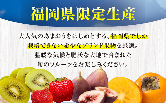 【全6回定期便】フルーツ定期便 8万5千円コース(あまおう4種＆キウイ＆柿) 《豊前市》【豊前市定期便】 [VZZ023]