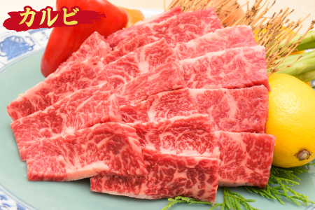 佐賀牛 カルビ 焼肉用 500g A5 A4 【期間限定 希少 国産和牛 牛肉 肉 牛 焼肉】(H085176)