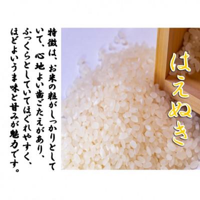 ふるさと納税 小国町 【令和8年産新米　先行予約】山形県小国町産　はえぬき2kg　小国米穀商業協同組合 |  | 01