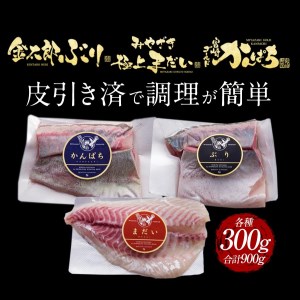 宮崎産 新海屋 鰤屋金太郎 刺身３種セット 真鯛 ぶり カンパチ 各種300g 計900g　冷蔵　N018-ZB613_1