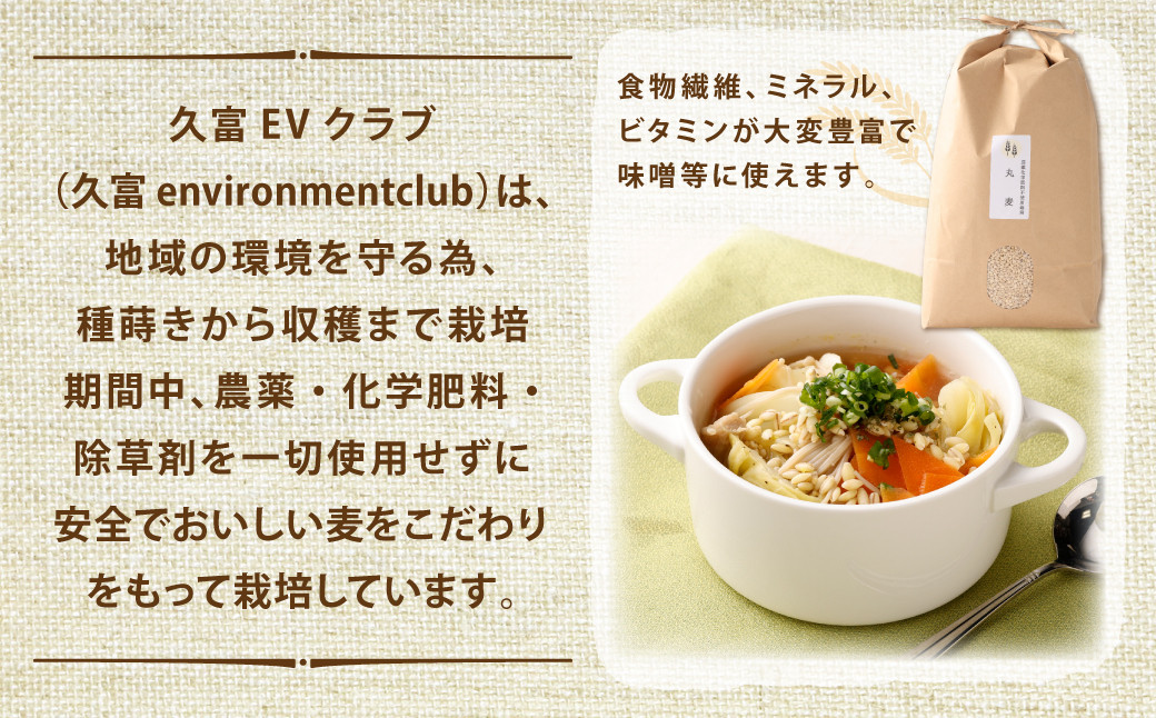 丸麦 ( みそ麦 )  5㎏ 福岡県産 裸麦 イチバンボシ