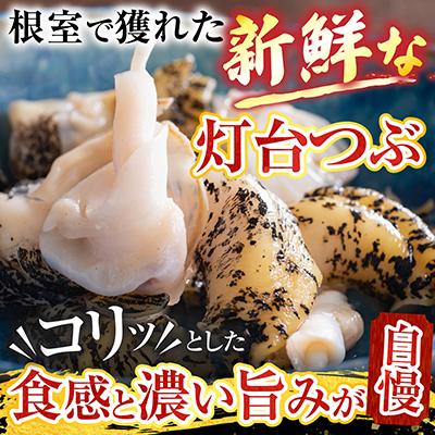 ふるさと納税 根室市 【北海道根室産】灯台つぶ200g×4P(計800g) A-20006 |  | 01