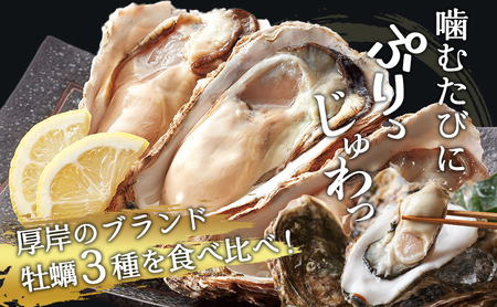 牡蠣 3種 食べ比べ セット 厚岸オイスター★オールスターズ 生食 殻付き 牡蠣
