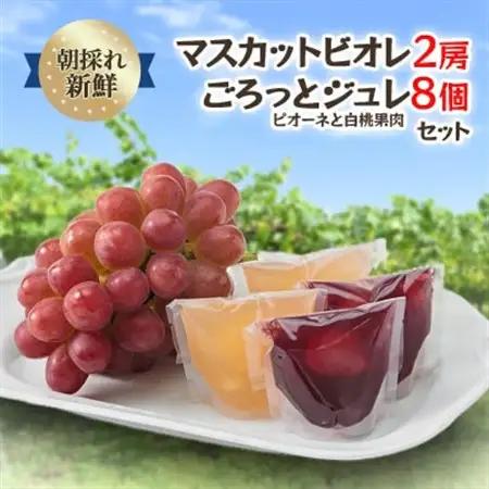 【2026年度発送分】朝採れ新鮮マスカットビオレ2房＆ピオーネと白桃果肉ごろっとジュレセット【配送不可地域：離島・北海道・沖縄県】【1435800】