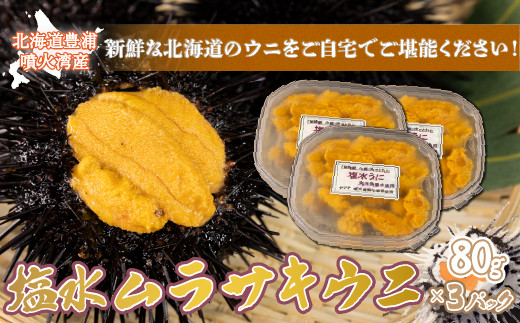 【2027年6月下旬～7月下旬迄発送予定】うに 塩水 ムラサキウニ 80g×3パック 噴火湾 雲丹 ウニ 塩水うに 新鮮 うに丼 海鮮丼 海産物 北海道グルメ 冷蔵 北海道 豊浦町 【配送不可地域：離島】