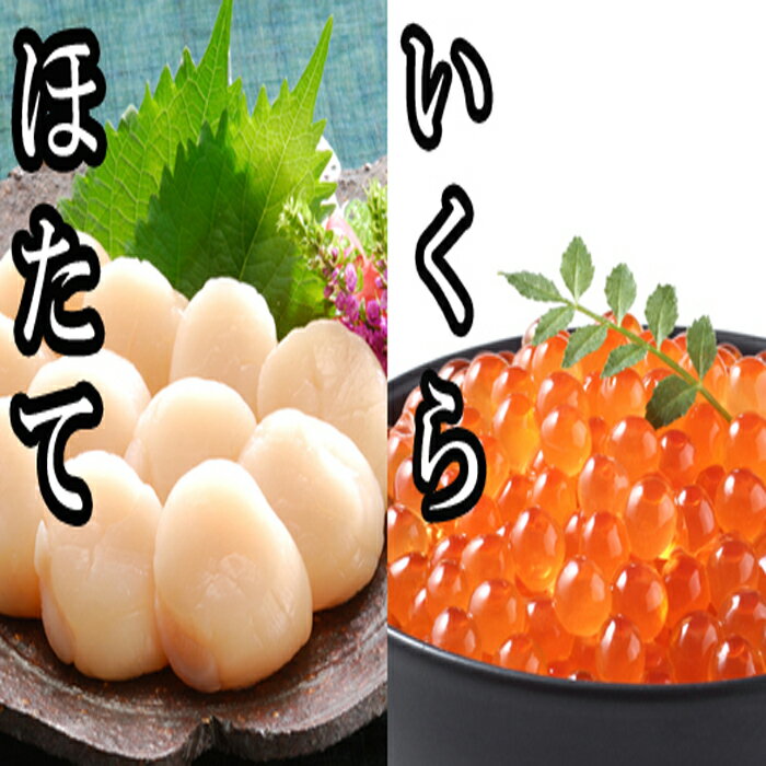 【ふるさと納税】いくら・ほたてセット (いくら100g×2P・ほたて貝柱500g×1P) (いくら100g×2P・ほたて貝柱500g×2P) (いくら100g×6P・ほたて貝柱500g×4P) イクラ ホタテ 帆立 ホタテ貝 帆立貝 貝 魚卵 北海道 根室市