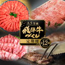 【ふるさと納税】【定期便】A5 飛騨牛 12回 定期便 計 7.7kg 12ヶ月 食べ比べ 1年 年間 牛肉 肉 和牛 国産牛 黒毛和牛 焼肉 すき焼き しゃぶしゃぶ ステーキ 赤身 霜降り サーロイン お楽しみ トキノ屋食品 本巣市 [mt003] 279000円