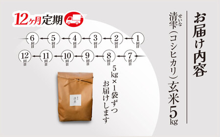 ＜12ヶ月定期便＞＜令和7年産＞ 京都夜久野産 清雫(せいな) コシヒカリ 玄米 (5kg×12回) ふるさと納税 福知山市 令和7年度産 先行 定期便 選べる 容量 回数 玄米 夜久野 京都 【fc