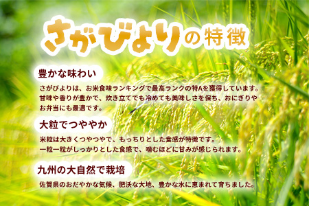 【連続特A受賞米】佐賀県基山町の米・令和6年産 新米 さがびより(精米)5kg〈生産者直送〉【米 ブランド米 特A 冷めても美味い 5kg ふるさと納税】A3-A094001