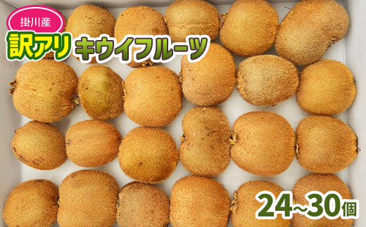 農園直送!訳アリキウイフルーツ2kg～2.4kg(24個～30個)【配送不可地域：離島・北海道・沖縄県・四国・九州】