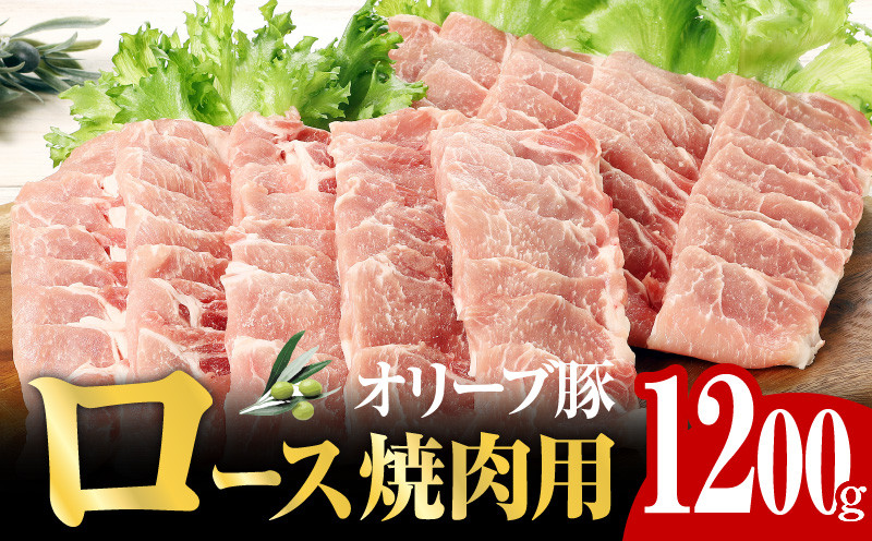 
オリーブ 豚 ロース 焼肉 用 1200g ( 1200g × 1パック ) 5～7人前
