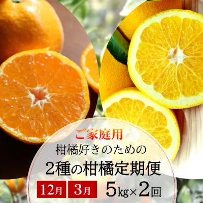 ふるさと納税 日高町 【発送月固定定期便】農家直送!ご家庭用　2種の柑橘定期便(みかん・八朔)各5kg【訳あり】全2回