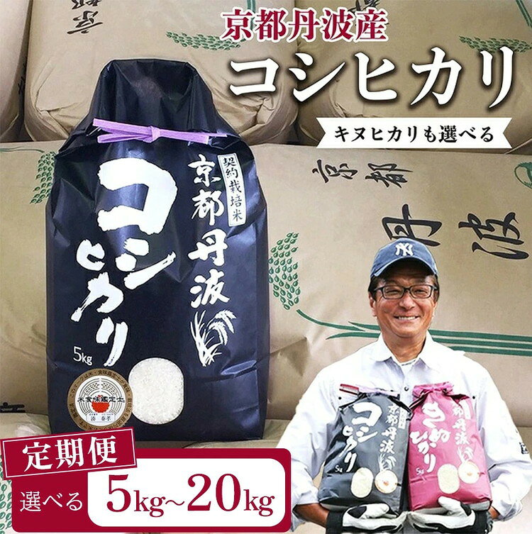 【ふるさと納税】【9月より新米】米 定期便 5kg 高評価★4.63 京都丹波米 コシヒカリ 5kg 10kg 20kg 選べる キヌヒカリ 食べ比べ 1回 3回 4回 6回 8回 12回 令和7年産 令和8年産 米 訳あり ふるさと納税 米 精米 定期便 12ヶ月 簡易包装 京都丹波産 こしひかり きぬひかり