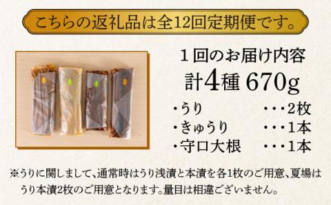 【全12回定期便】【明治神宮ご奉献品】奈良漬 「琥珀漬」670g ご家庭用 詰め合わせ 《築上町》【有限会社奈良漬さろん安部】奈良漬 奈良漬け [ABAE030]