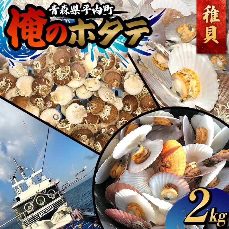 「俺のホタテ」 ホタテ 稚貝 2㎏ ホタテ ほたて 帆立 活ホタテ 貝柱 殻付き 魚介 魚貝 魚貝類 青森県 東北 平内町 陸奥湾 むつ湾 F21J-298