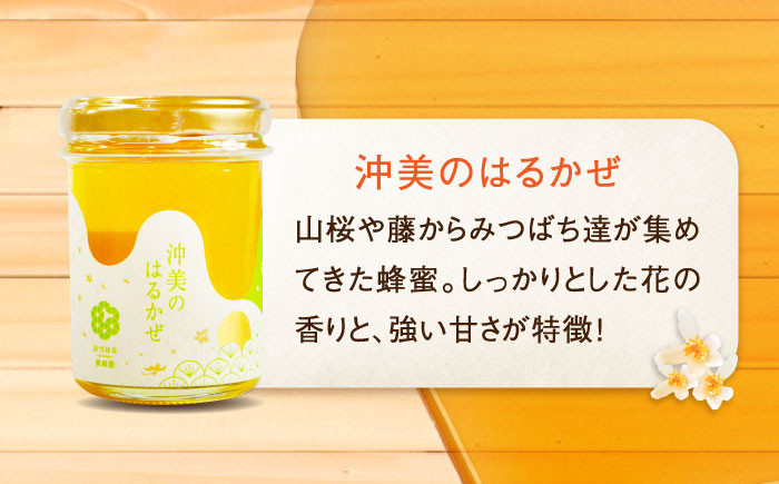 江田島産100％ はちみつ 沖美のはるかぜ120g×6本セット ハチミツ 蜂蜜 国産 広島 江田島