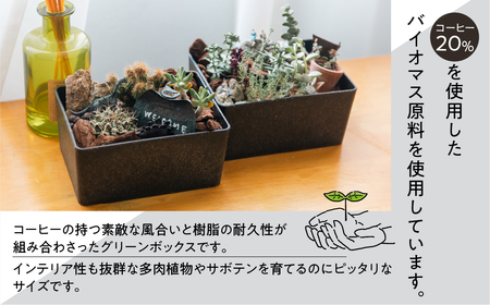 【コーヒーグラウンズ】KITOHAKO グリーンボックス １個　小物入れ【103-2【2】】