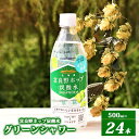 【ふるさと納税】北海道 富良野ホップ炭酸水　グリーンシャワー 500ml×24本　【 飲料 炭酸飲料 飲み物 上富良野産ホップ エキス 無糖炭酸水 香り 爽やか リフレッシュ 無糖 すっきり 】