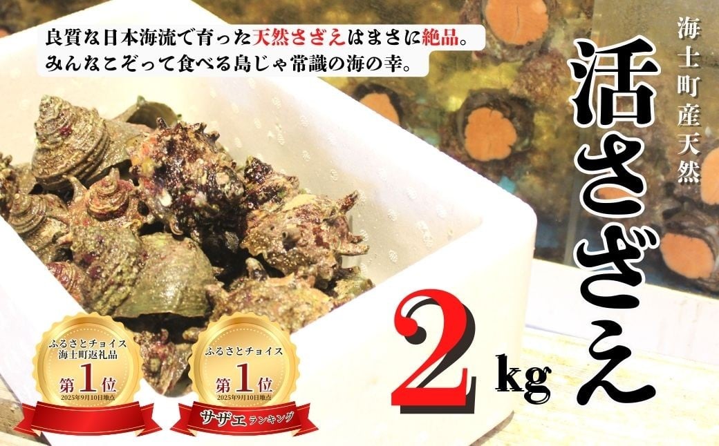 
                  【先行予約受付中：2026年1月中旬以降順次発送】島獲れ活さざえ2kgセット 日本海の離島の新鮮なさざえを約20匹お届けします! 冷蔵便 サザエ 栄螺 貝 海鮮 BBQ さざえご飯 壺焼き 刺身 バーベキュー ギフト お中元 御中元
                