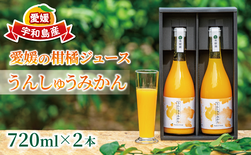 予約受付 愛媛 の 柑橘 ジュース 720ml 2本 セット 壱果樹園 みかん 温州みかん ストレートジュース 100% 果汁 飲料 ギフト 果物 フルーツ 国産 愛媛 宇和島 H015-141001