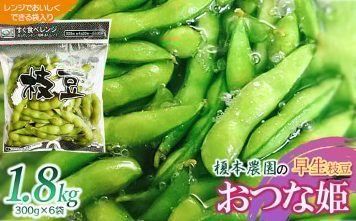 【令和8年産先行予約】榎本農園の早生枝豆おつな姫1.8kg（電子レンジでおいしく出来る袋入り300ｇ×6袋）　K-834