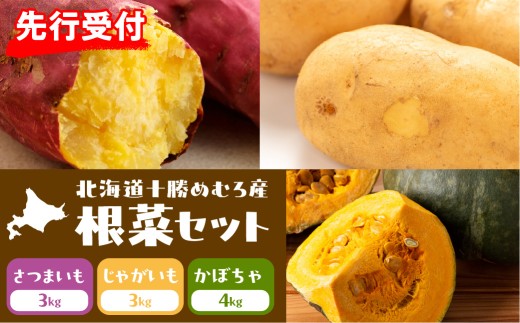 【先行受付】【2026年10月20日頃から発送】北海道十勝芽室町 十勝めむろ産 メークイン さつまいも かぼちゃセット 10kg me089-008c