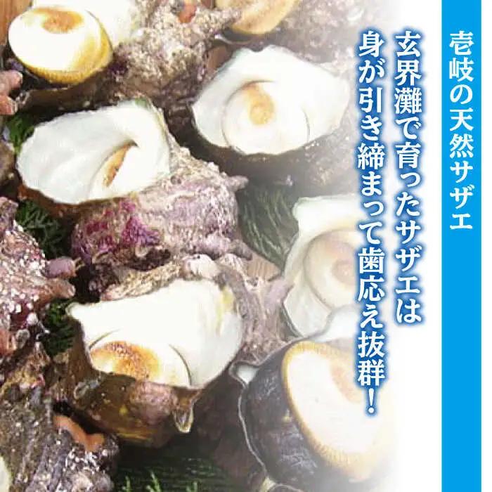 秘伝のタレ サザエのつぼ焼き ６パック　【サイズ・個数選択不可】）《壱岐市》【天下御免】 [JDB396]