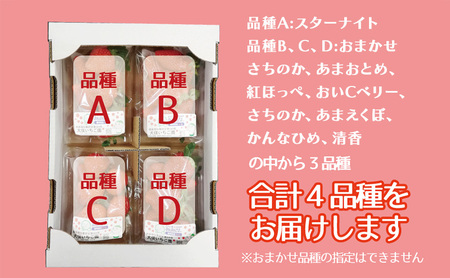 「スターナイト」+3品種　個性派いちご4品種食べ比べセット　250g×4パック　『とくしま安２（安全・安心）農産物』優秀認定取得