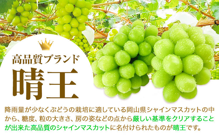 2ヶ月 定期便 シャインマスカット 晴王 約550g 《9月上旬-10月末頃出荷(土日祝除く)》【配送不可地域あり】（北海道・沖縄・離島）---124_c977tei_9j10m_24_40500_s