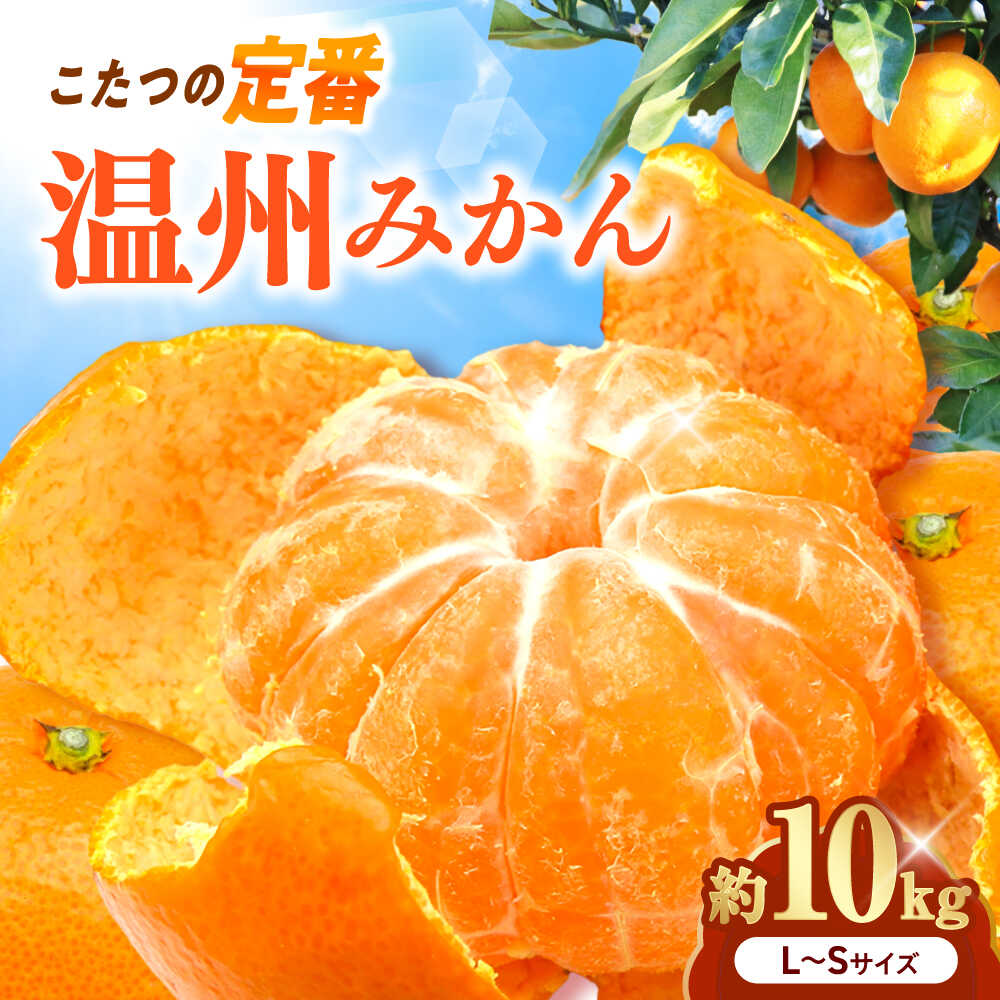 【ふるさと納税】みかん 温州みかん 約10kg L-Sサイズ【11月から12月まで順次発送】 / フルーツ 果物 蜜柑 ミカン オレンジ 小玉 甘い 先行予約 10kg 愛媛 手で剥ける 種なし お土産 プレゼント ギフト 人気 おすすめ / 愛媛県砥部町/えひめ中央農業協同組合[BJCG003]