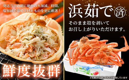 【訳あり】≪浜茹で≫越前産 紅ずわいがに 約700g × 2杯 食べ方しおり付【5月発送分】【紅ズワイガニ カニ かに 蟹 姿 ボイル 冷蔵 福井県】希望日指定不可 [e14-x025_05]