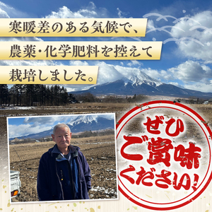 【令和7年産米】【新米先行予約】【数量限定】忍野村産コシヒカリ（20kg）