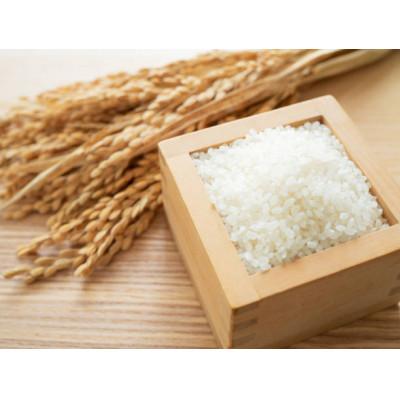 ふるさと納税 那賀町 那賀町相生産コシヒカリ玄米10kg |  | 02