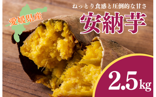 『えがお畑』で採れた安納芋 2.5kg