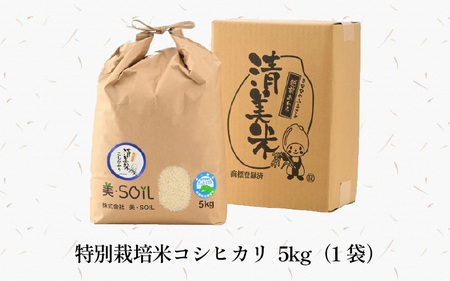 【令和5年産】特別栽培米 コシヒカリ 5kg 無洗米 低農薬 《食味値85点以上！こだわり極上無洗米》  / 福井県 あわら 北陸 米 お米 人気