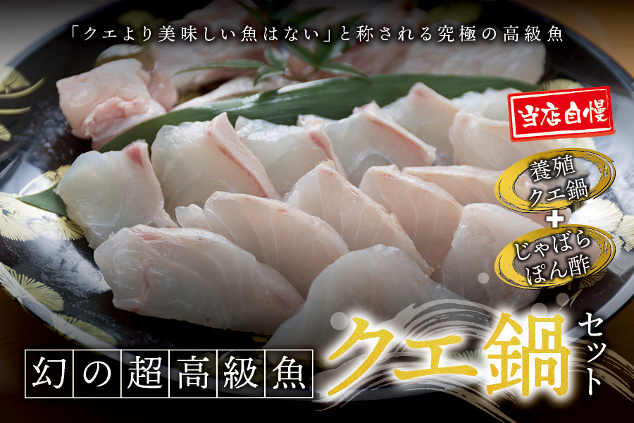 
                  【先行予約】幻のクエ！養殖クエ鍋500gとじゃばらぽん酢100ml くえ クエ 鍋 セット 鍋セット 高級 【fki200】
                