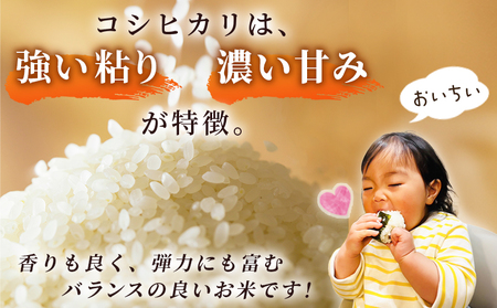 新米 ＜令和7年産 コシヒカリ 約5kg 3回定期便 西予市宇和町産＞ 白米 精米 楠さんの一等米相当 こしひかり お米 コメ こめ 米 ご飯 ごはん 定期便 穀物 ライス 愛媛県 西予市【常温】『2
