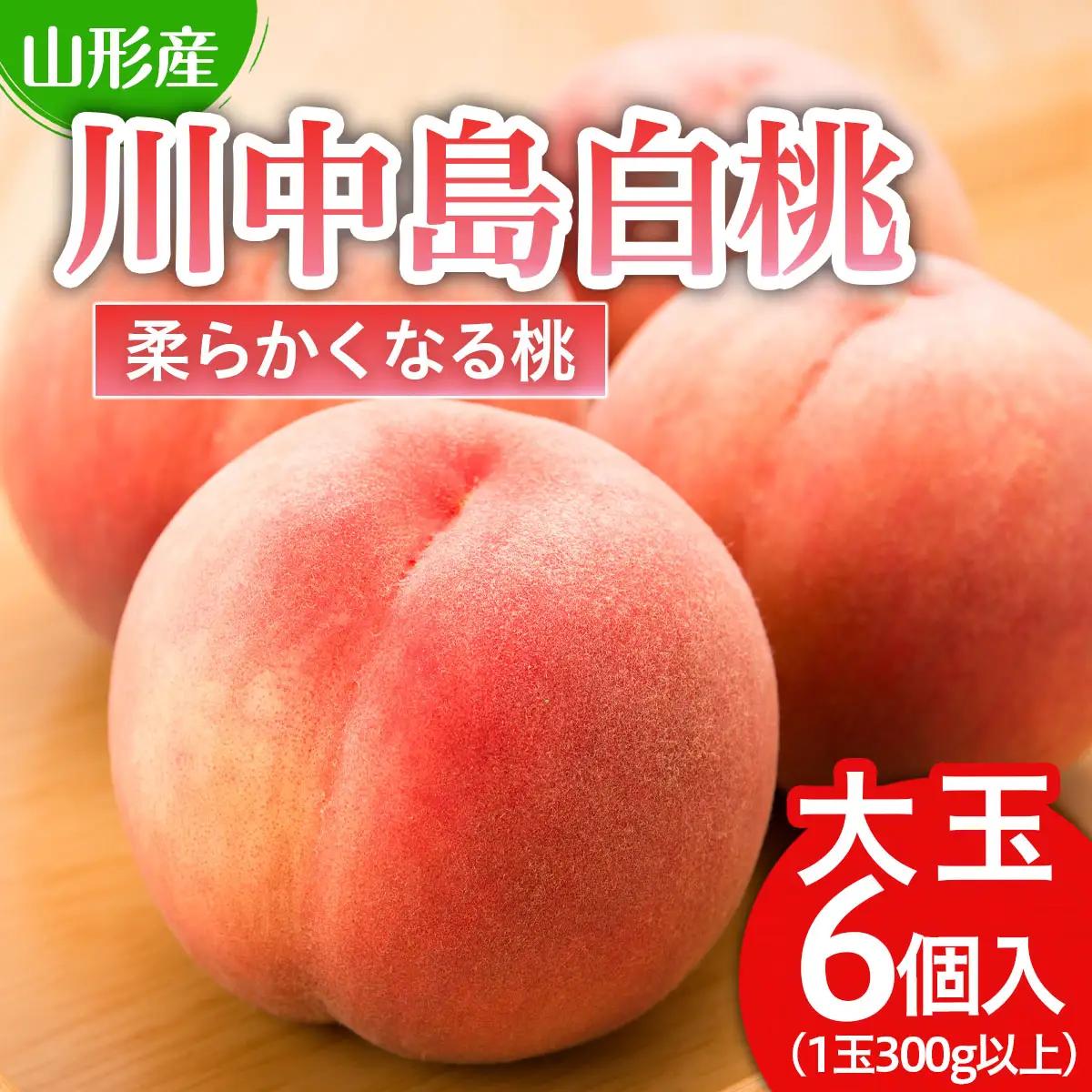 川中島 白桃 秀品 大玉 ６個入 1箱 1.8kg以上[やわらかくなる桃]【令和8年産先行予約】FU21-007 くだもの 果物 フルーツ 山形 山形県 山形市 2026年産