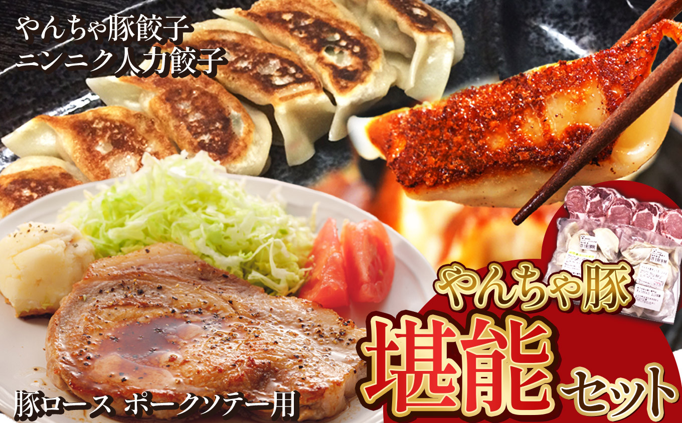 
下野市 黒沢牧場 やんちゃ豚堪能セット ロース 約1kg やんちゃ豚餃子 24個 ニンニクたっぷり人力餃子 24個 | 餃子 ロース 豚 肉 豚餃子 やんちゃ豚 人力餃子 栃木県 特産品 下野市 しもつけ市

