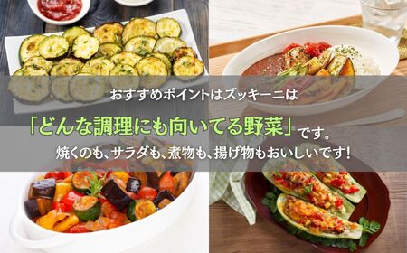 ズッキーニ 約1kg (5本前後) | 石川県 小松市 JAあぐり