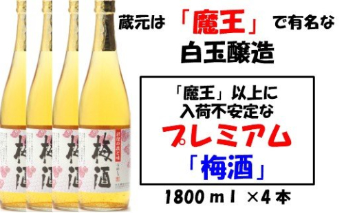 No.2044-1 【魔王の蔵元】白玉醸造の「プレミアム梅酒」4本セット