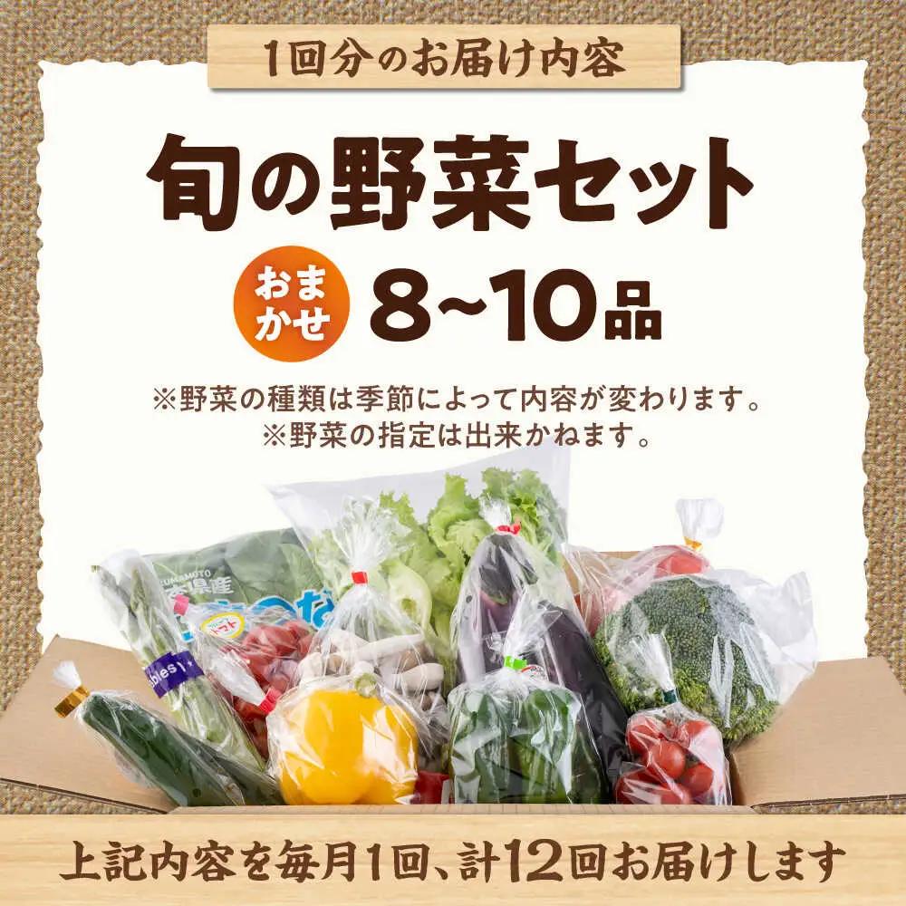 【全12回定期便】旬な野菜おまかせ詰め合わせセット 野菜 [AYCA002]
