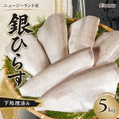 ふるさと納税 銚子市 銀ひらす 下処理済み 5kg