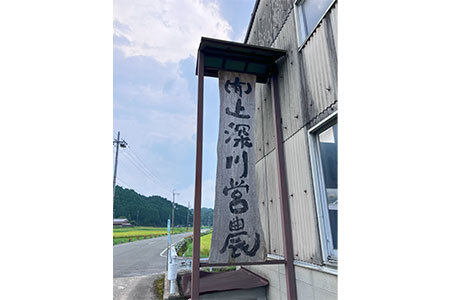 令和7年度 新米 ゆうだい21 白米 5㎏ (25-035)