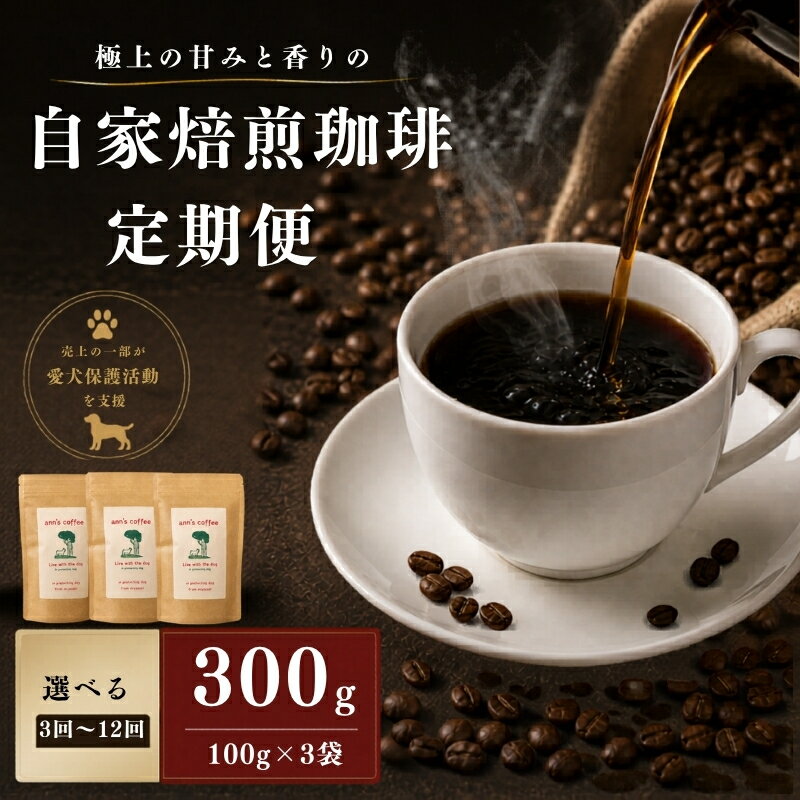 【ふるさと納税】 定期便 自家焙煎珈琲豆 300g/回 選べる 3か月 6か月 12か月 ( コーヒー コーヒー豆 定期 珈琲 豆 飲み比べ 詰め合わせ 詰合せ セット 水出し 小分け ドリップ アイス アイスコーヒー アウトドア キャンプ ギフト 贈答 贈り物 京都府 京都 京丹波町 )