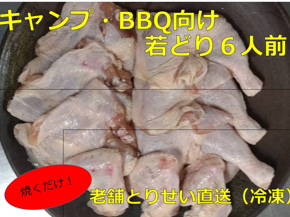 
            とりせい 味付き若どり6人前セット(冷凍) アウトドア キャンプ バーベキュー 焼き鳥 鶏肉
          