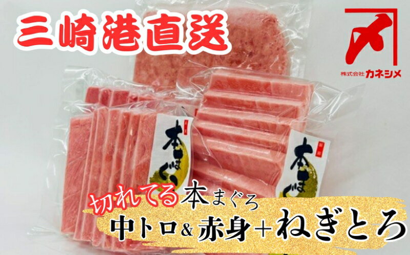 【ふるさと納税】 三崎マグロ 卸問屋カネシメの本鮪 中トロ 赤身 切れてるお刺身 目鉢鮪 ネギトロ セット 440g 本鮪 本マグロ まぐろ 鮪 トロ カット済 刺身 メバチマグロ ねぎとろ すきみ 柵 魚 新鮮 鮮度 カネシメ 神奈川県 三浦市 おすすめ ランキング プレゼント ギフト