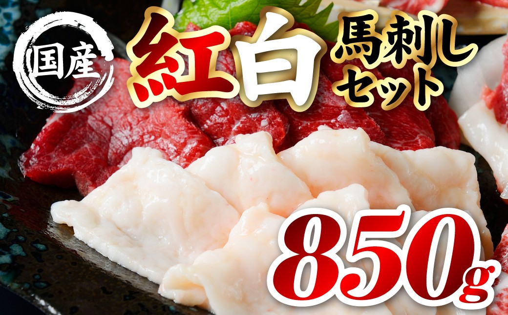 
                  国産 熊本肥育 紅白馬刺しセット 合計850g （赤身700g・コウネ150g） 馬肉 赤身 コウネ たてがみ 刺し身 刺身 新鮮 ヘルシー おつまみ 晩酌 贈り物 真空パック ブロック 冷凍 熊本県 八代市
                